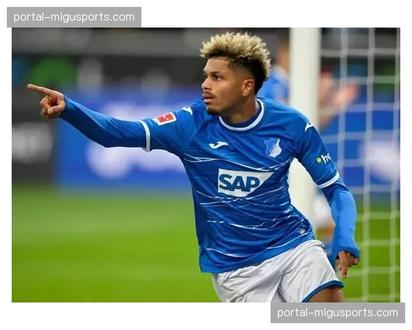 VAR两次介入点球判罚，霍芬海姆vs多特蒙德比赛多次中断